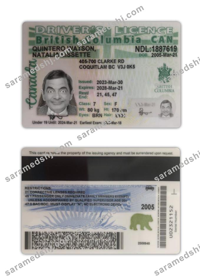 Canada British Columbia driving license 2021-present